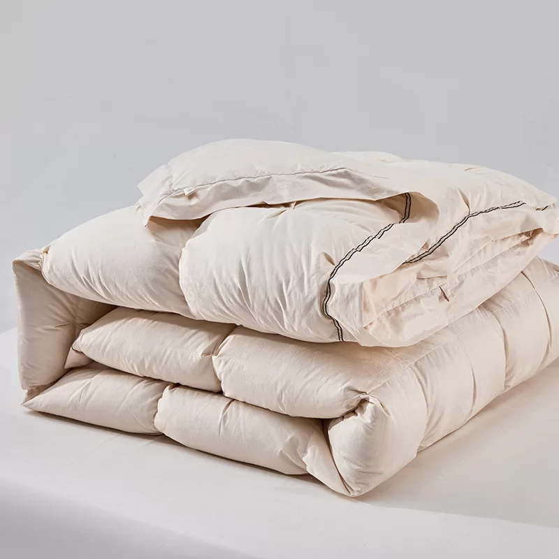 Imej rujukan produk